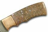 Damascus Steel Knife w/ Fossil Dinosaur Bone (Gembone) Inlays #370840-2